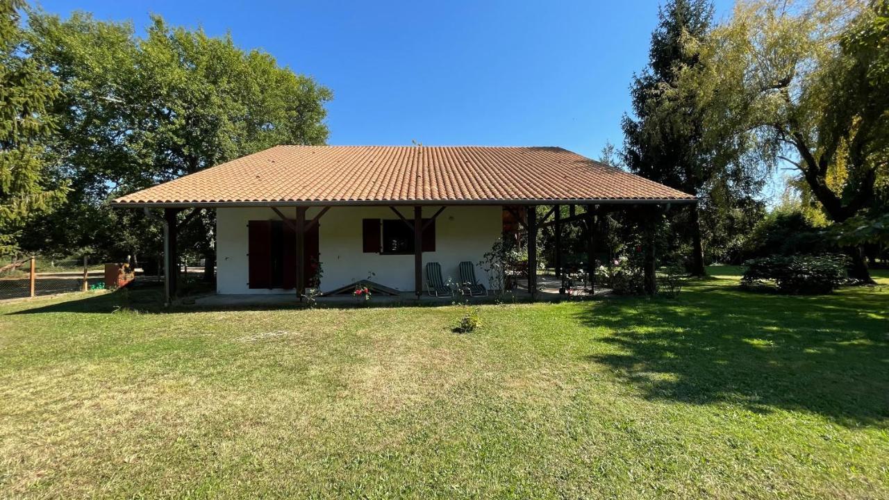 Villa Au Milieu Des Pins / Bord Du Lac Biscarrosse Exterior photo